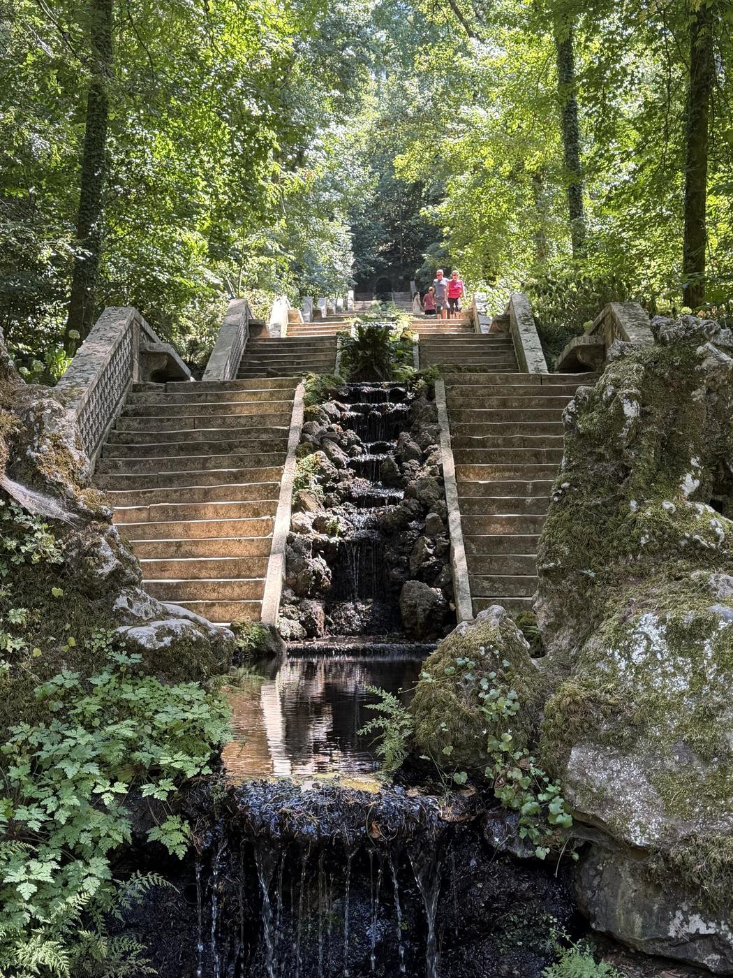 Steintreppe mit Wasserlauf durch den Wald